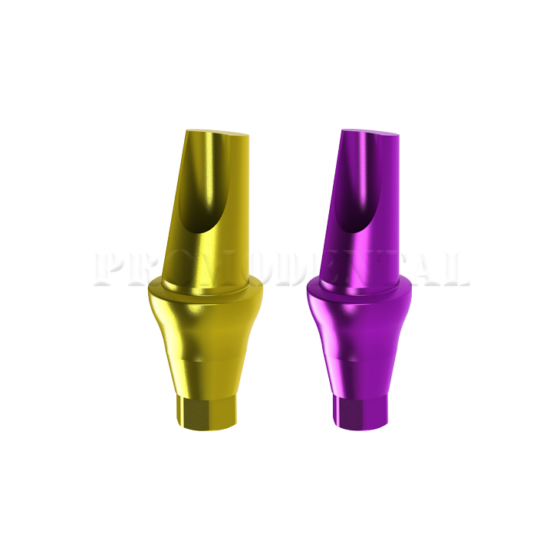 pilier-anatomique-angule-15-Pilier anatomique angule 15_